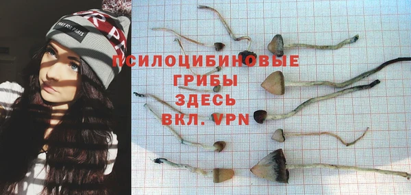 дмт Балахна