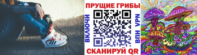 Галлюциногенные грибы MAGIC MUSHROOMS  Гатчина 
